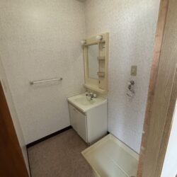 洗面・洗濯機置き場