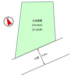 地型図