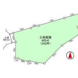 地型図